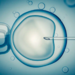 Does Impact Health Cover IVF