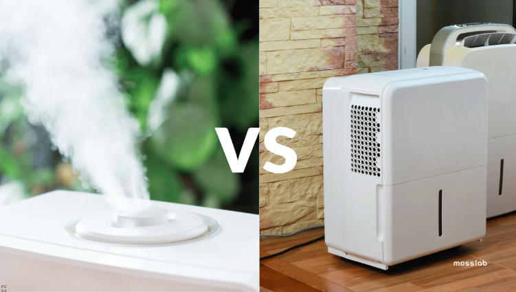 Humidifier vs Dehumidifier for Asthma