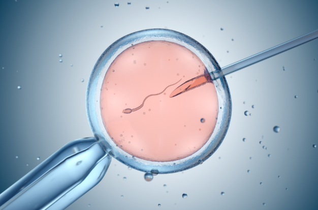 What Is IVF